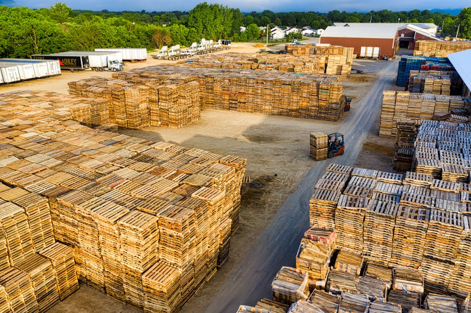 Eco-Friendly Practices for Warehouse Management